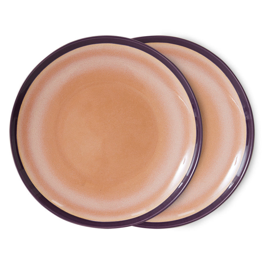 Reactive Glaze Stoneware Dinner Plates - Set of 2
